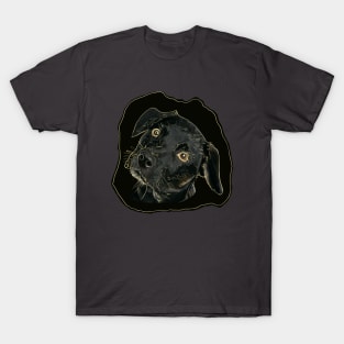 My pet dog T-Shirt